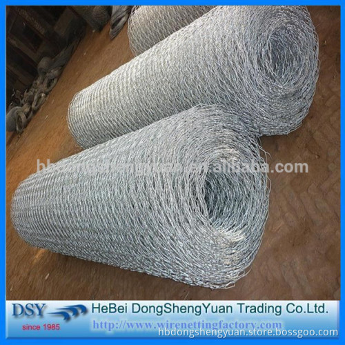 Supply galvanized or PVC coated hexagonal wire mesh/galfan zinc coated double twisted hexagonal wire mesh for hesco type